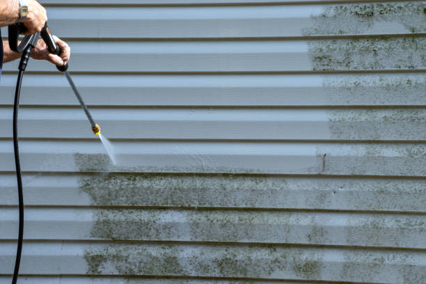 Best Siding Painting and Refinishing  in Belmar, NJ