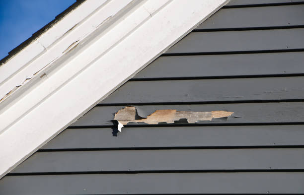 Best Fascia and Soffit Installation  in Belmar, NJ