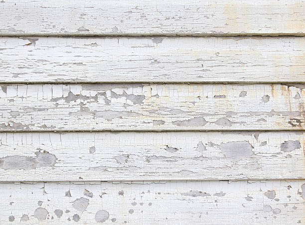 Best Historical Building Siding Restoration  in Belmar, NJ