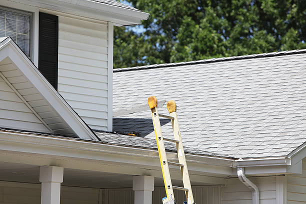 Best Siding Removal and Disposal  in Belmar, NJ